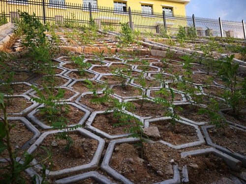 吉林高鐵綠化施工團隊 專業園林綠化工程的實踐與價值