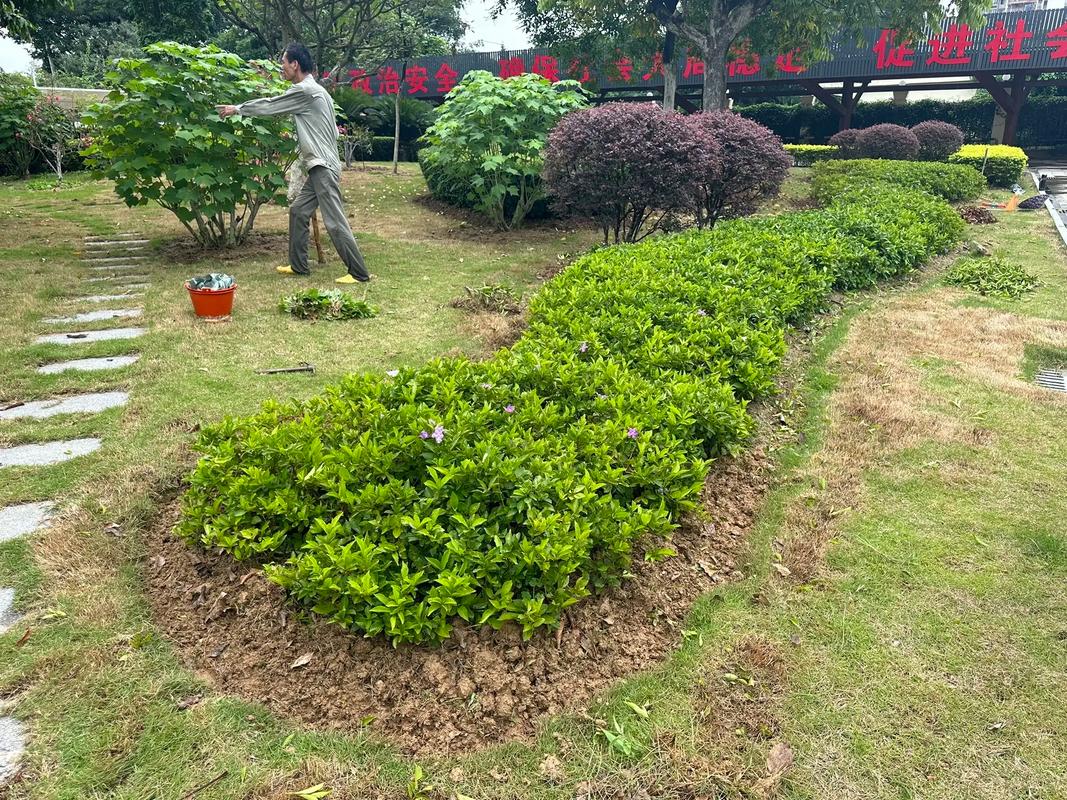 深耕園林養(yǎng)護(hù)與苗木產(chǎn)業(yè)，共筑城市綠色生態(tài)未來(lái)